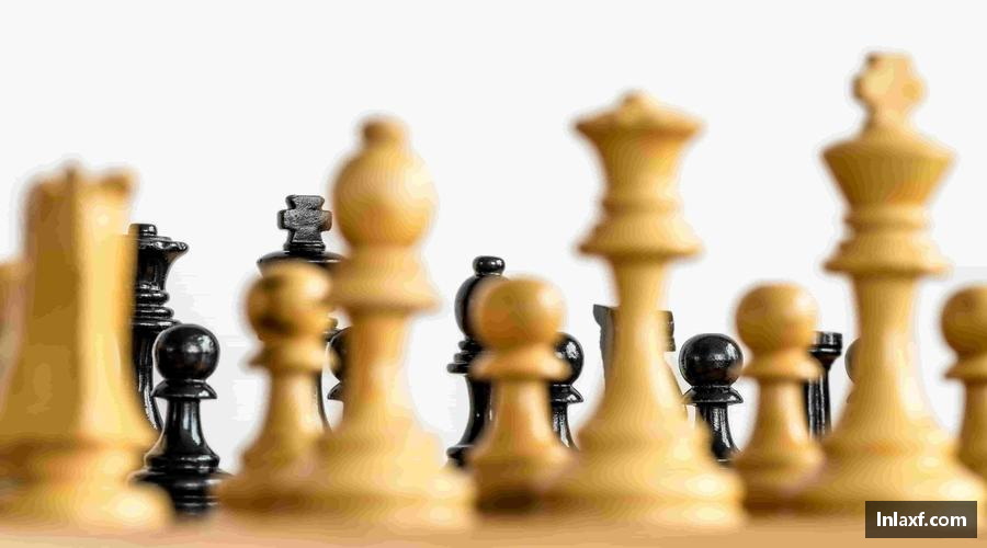 悟空体育平台球迷专属，用细节传递热爱🎯❤️